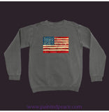 United We Stand Sweatshirt Pepper / Small (S)